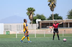 Santos vs Tigres femenil sub 19 @tar.mx