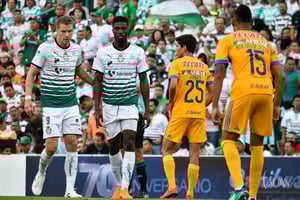 Julio Furch, Djaniny Tavares
