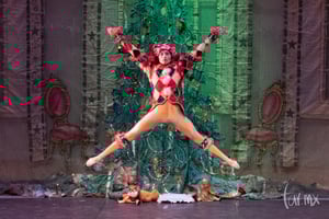 El Cascanueces, ballet fotografías