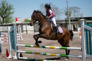 Tercer concurso de Salto 2019 Hípico La Cabaña