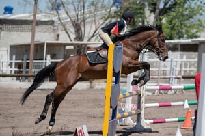 Tercer concurso de Salto 2019 Hípico La Cabaña