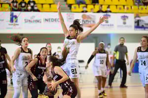 Algodoneras vs Mieleras
