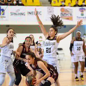 Algodoneras vs Mieleras