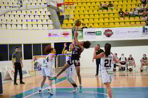 Algodoneras vs Mieleras