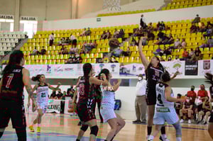 Algodoneras vs Mieleras