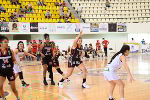 Algodoneras vs Mieleras