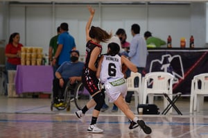 Algodoneras vs Mieleras
