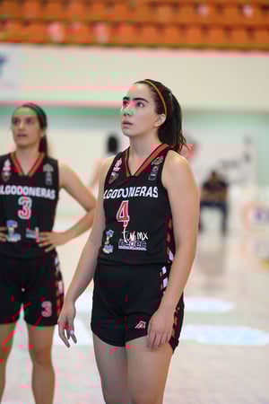 Algodoneras vs Mieleras