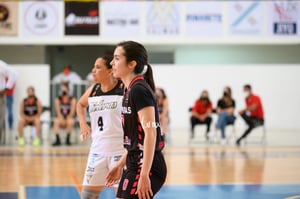 Algodoneras vs Mieleras