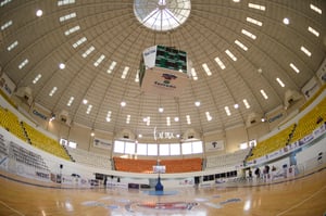 Algodoneras vs Mieleras