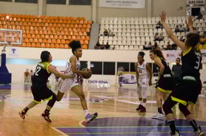 Algodoneras vs Mieleras