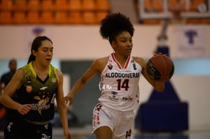 Algodoneras vs Mieleras