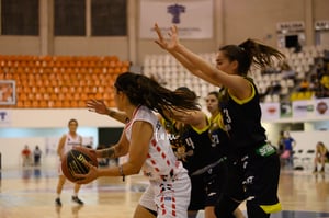 Algodoneras vs Mieleras