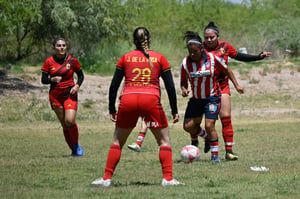 Hormiguero FC vs La Partida FC final