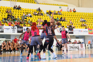 Galería de fotos: Algodoneras Regias