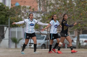 Galería de fotos: Lagtor Meloneras