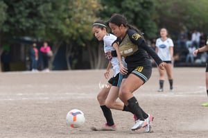 Galería de fotos: Lagtor Meloneras