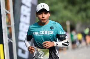 Halcones