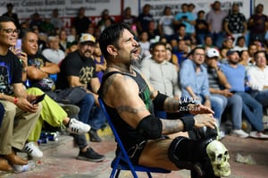 Cibernético