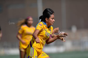 América Rodríguez