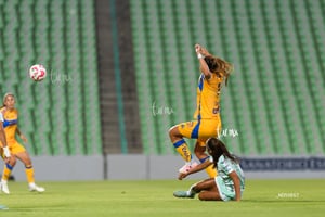 Santos vs Tigres femenil