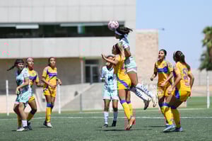 Santos vs Tigres femenil sub 19