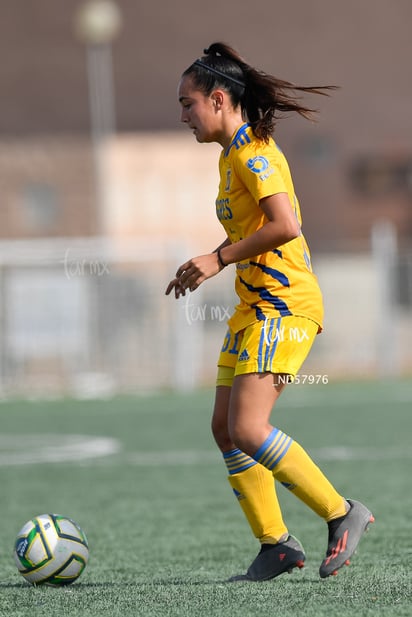 María González » Santos vs Tigres J13 C2023 Liga MX