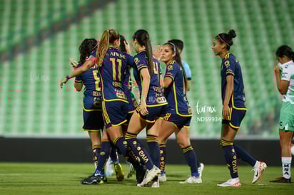 Santos vs Tigres femenil