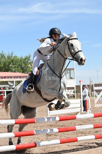 Concurso ecuestre  Las Brisas