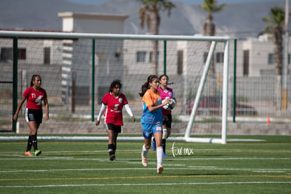 Aztecas vs Panteras | Aztecas F.C. vs Panteras Saltillo