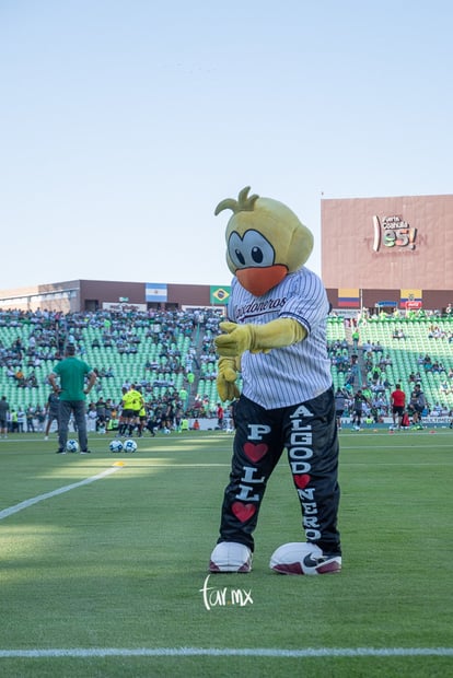 El pollo | Santos vs FC Juárez jornada 3 apertura 2019 Liga MX