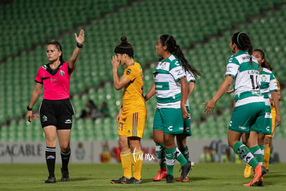  | Santos vs Tigres jornada 3 apertura 2019 Liga MX femenil