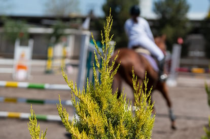  | Tercer concurso de Salto 2019 Hípico La Cabaña