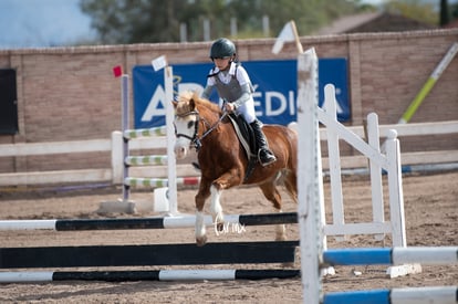  | Concurso de salto Las Brisas