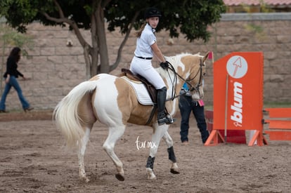  | Concurso de salto Las Brisas