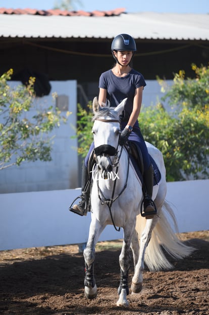 Las Brisas centro ecuestre | Salto de caballo Las Brisas