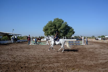 Las Brisas centro ecuestre | Salto de caballo Las Brisas