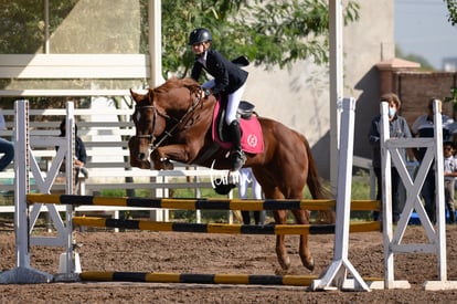 Las Brisas centro ecuestre | Salto de caballo Las Brisas