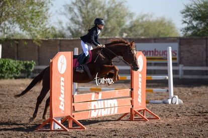 Las Brisas centro ecuestre | Salto de caballo Las Brisas