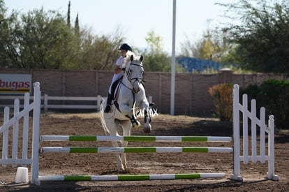 Las Brisas centro ecuestre | Salto de caballo Las Brisas