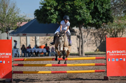 Las Brisas centro ecuestre | Salto de caballo Las Brisas