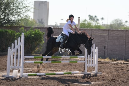 Las Brisas centro ecuestre | Salto de caballo Las Brisas