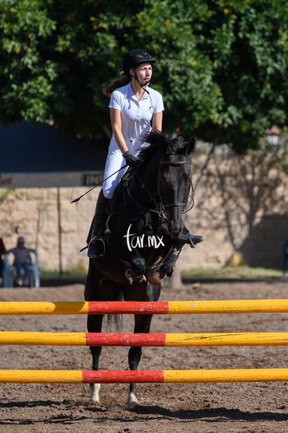 Las Brisas centro ecuestre | Salto de caballo Las Brisas