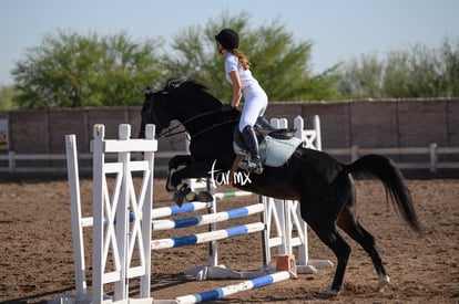 Las Brisas centro ecuestre | Salto de caballo Las Brisas