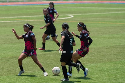 Cecaf FC vs Santos FIS 20 | Cecaf FC vs Santos FIS 20 semifinales