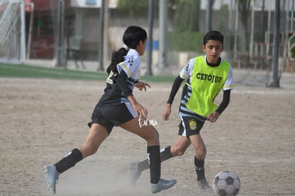 CEFOJUR | CEFOJUR vs CEFOJUR