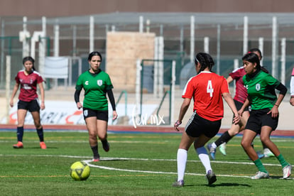 Panteras de Saltillo | Panteras FC CEFORUVA