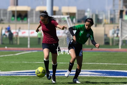 Panteras de Saltillo | Panteras FC CEFORUVA