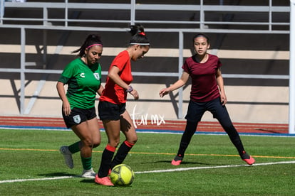 Panteras de Saltillo | Panteras FC CEFORUVA