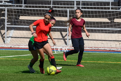 Panteras de Saltillo | Panteras FC CEFORUVA